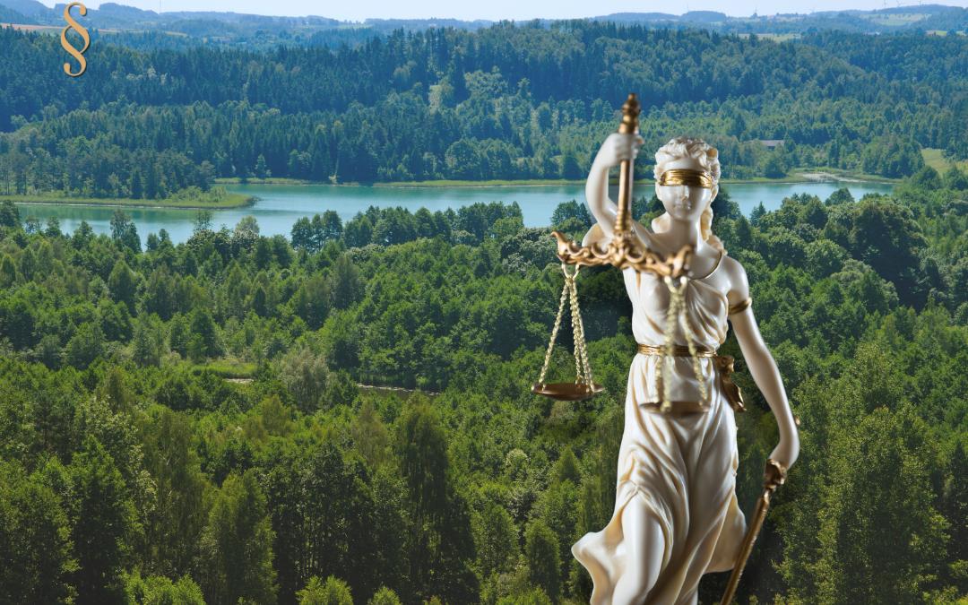 pomoc kancelarii frankowej Jakubowska, Dyś i Wspólnicy w Suwałkach