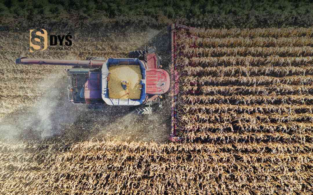 Kombajn zbiera kukurydzę na dużym polu – dokumentacja strat w uprawach rolnych przed wyceną.